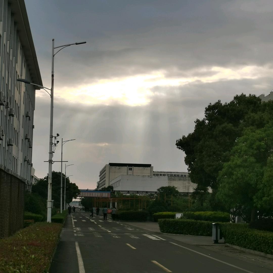 再见青春