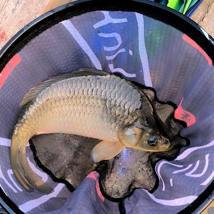 🌈东哥爱钓鱼🎣