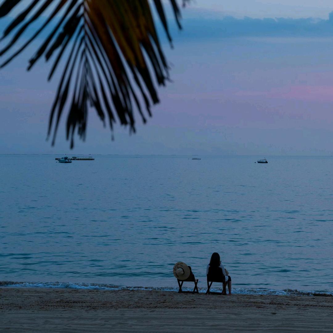 快乐的玉米肠🌽