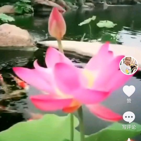 古法中医熏蒸传承人