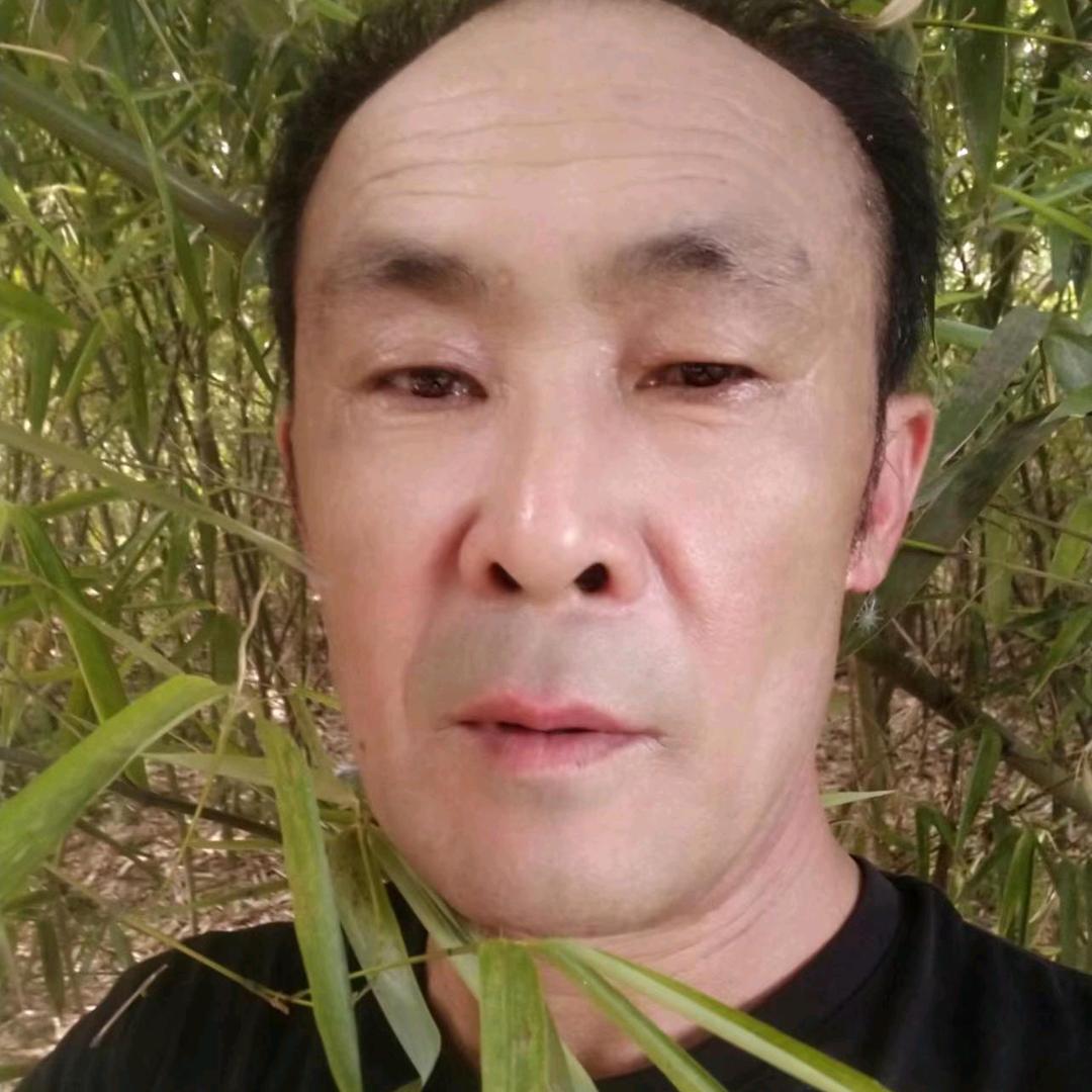 云芳232