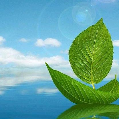 用户5128272977743流云