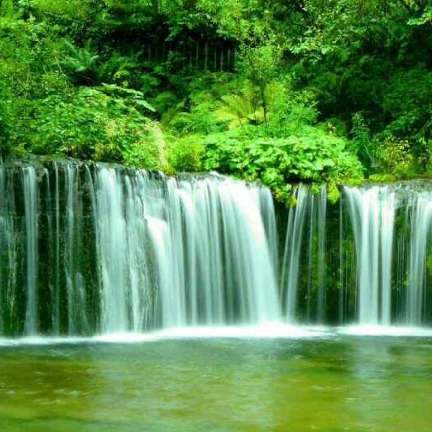 user6300862523847安好