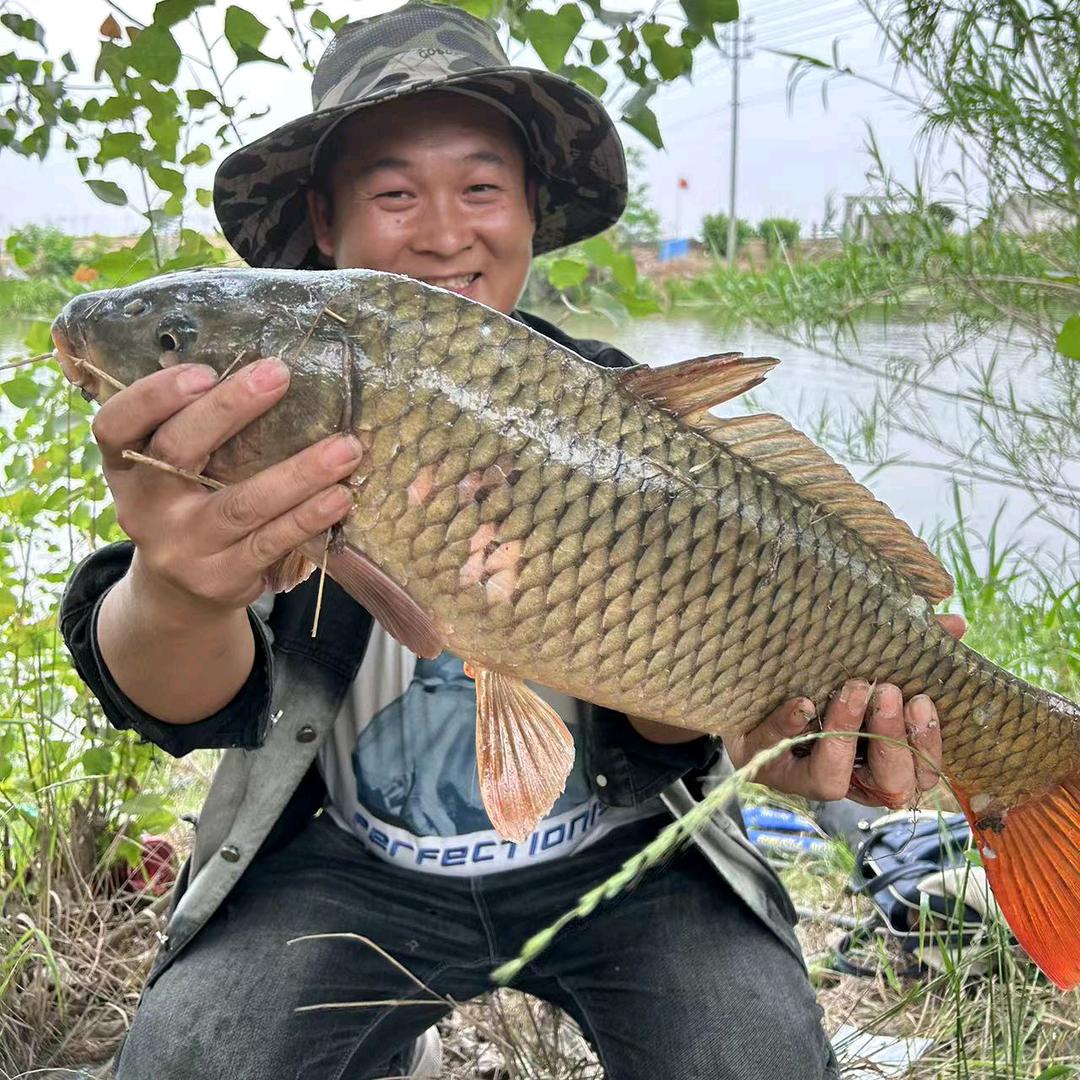 东子爱钓鱼