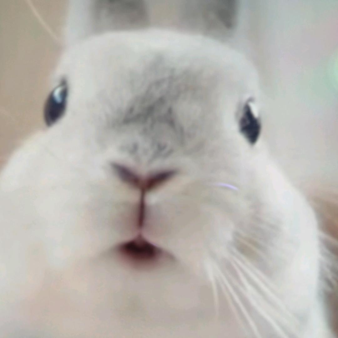 开心，