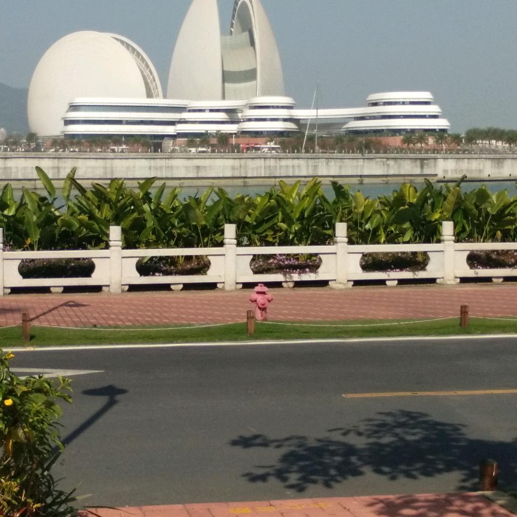 大漠雄鹰