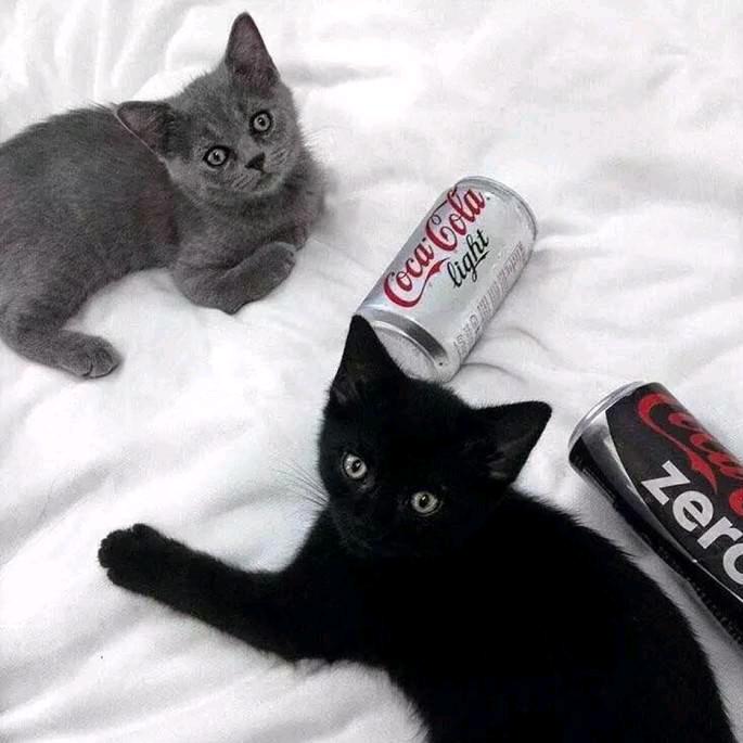 勇具弩罗知良偶奈六