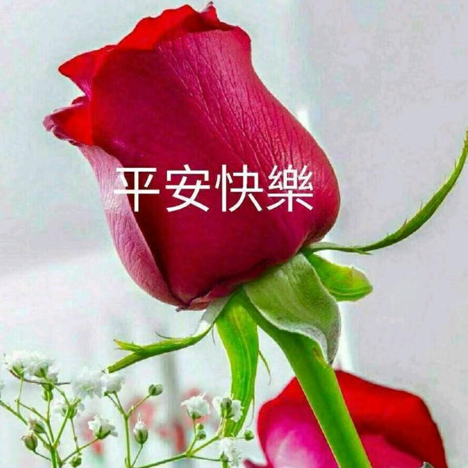 魅力女人