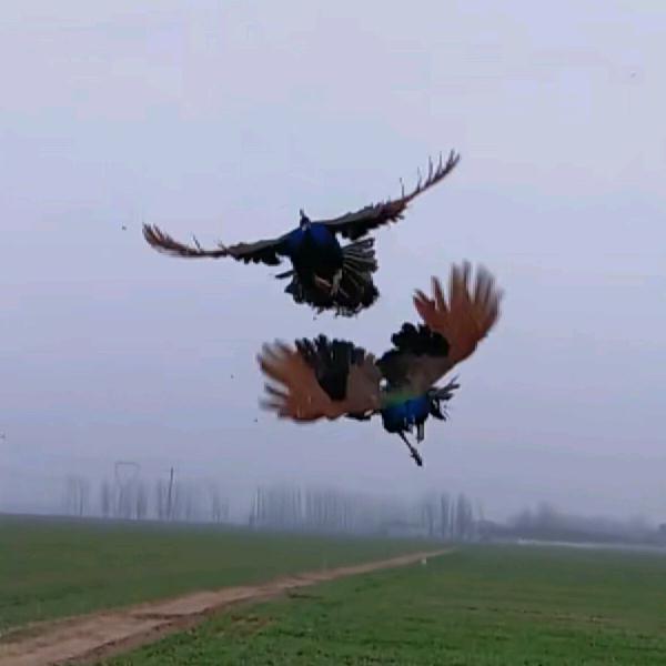 一切都过去，重新开始