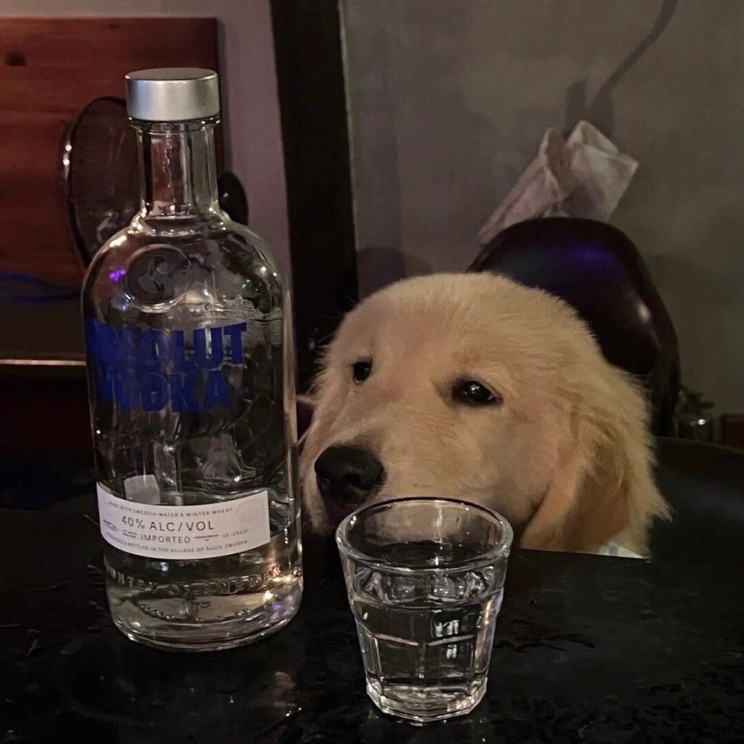 独孤求败