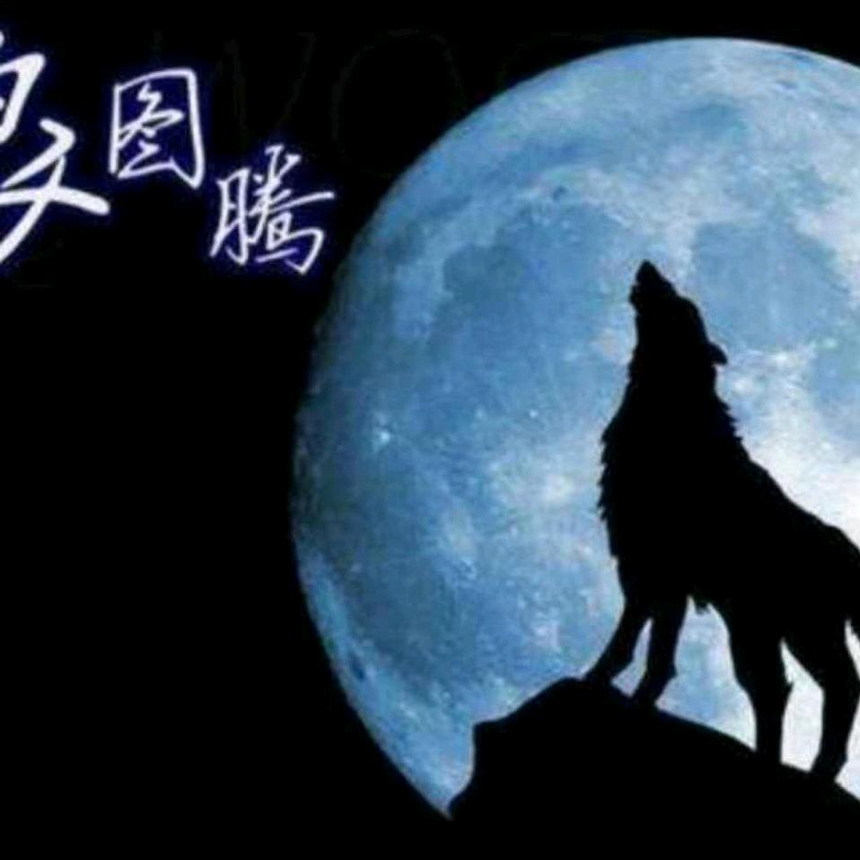 居然之家香河店狼图腾