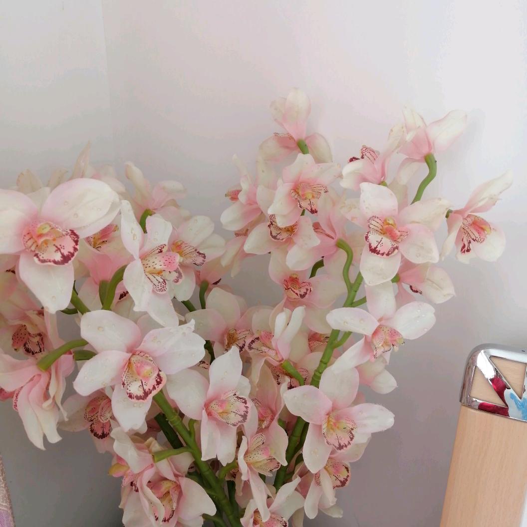 草原风清