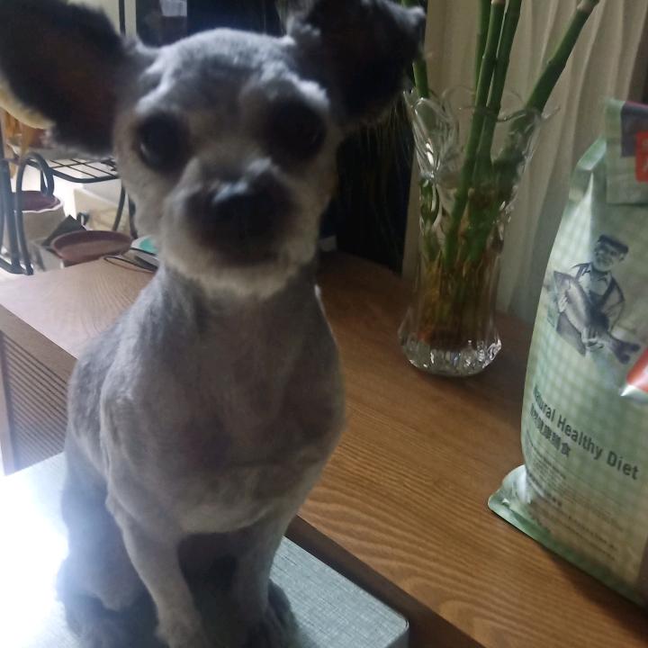 用户9861005470174