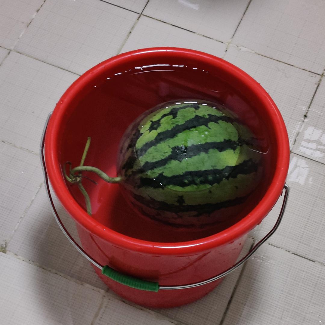 小胖没有肌肉