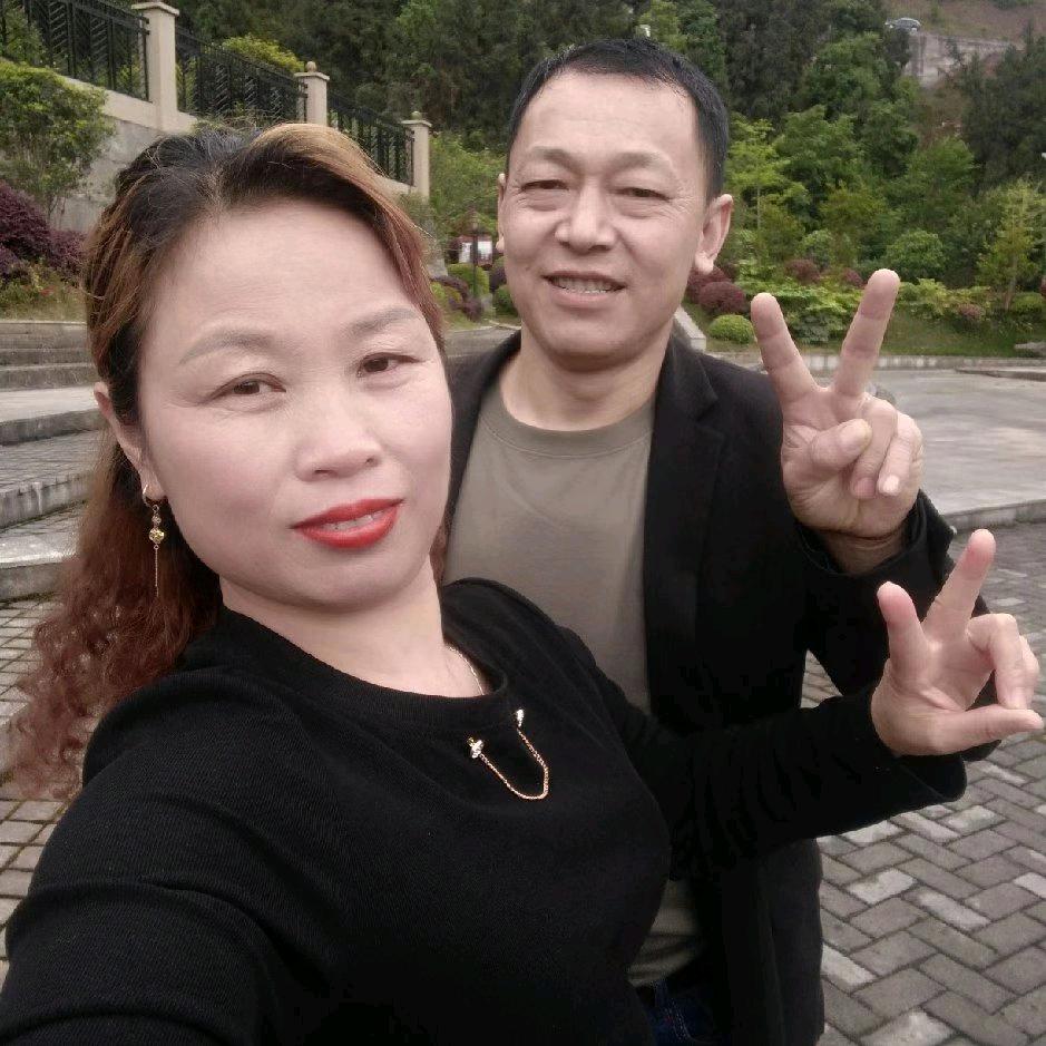 幸运四叶草🍀