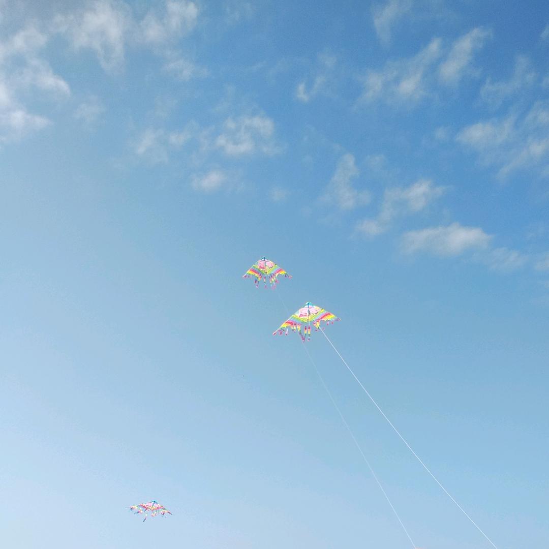 ❤️芸⋆︎⋆︎︎︎