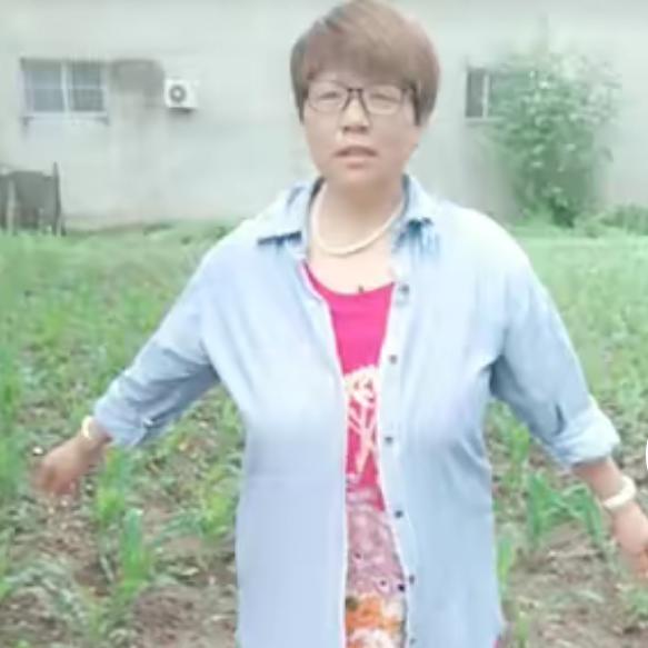 逐心如意