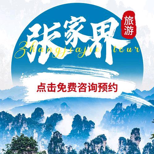张家界华辰国际旅行社有限公司