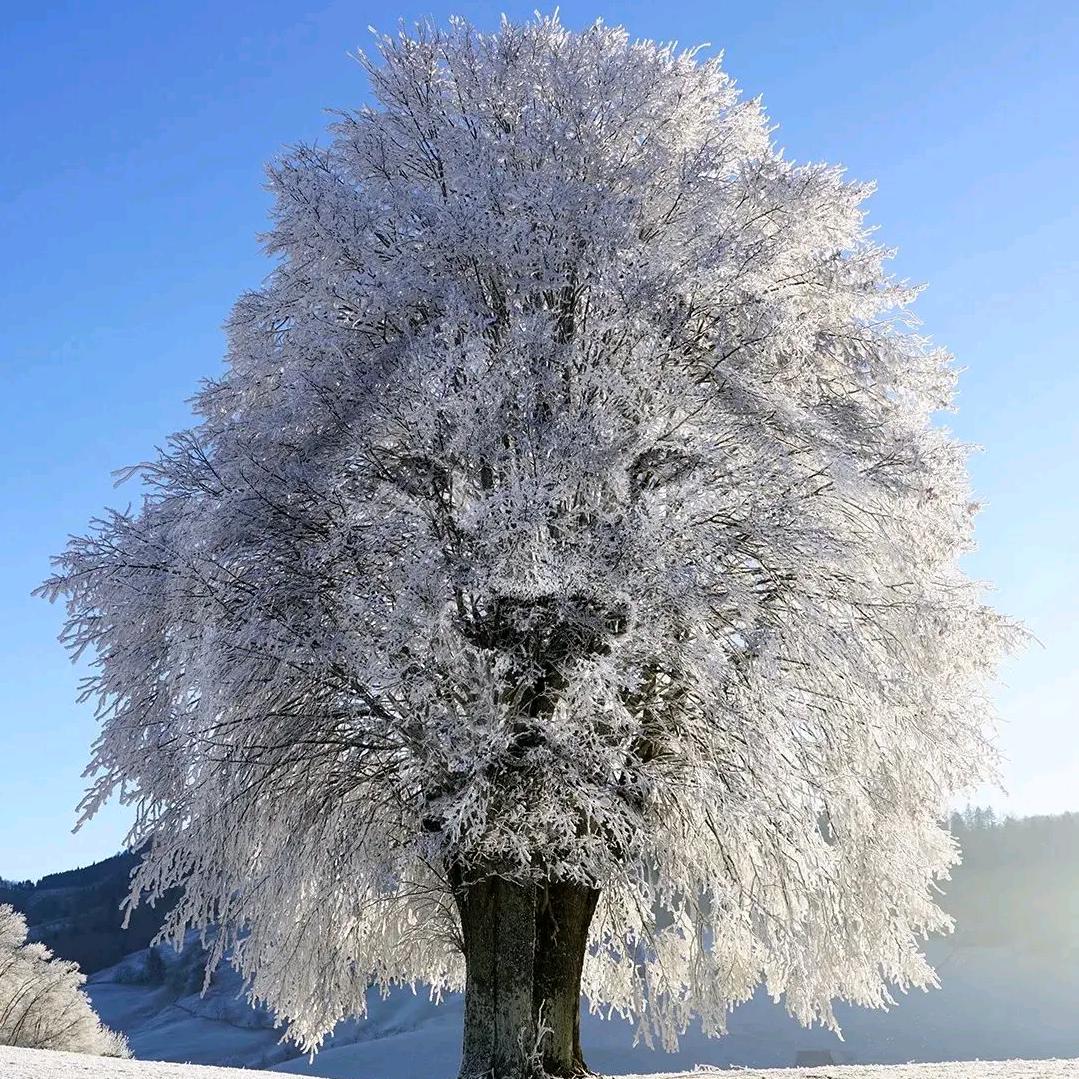 哈哈真好玩！🤫