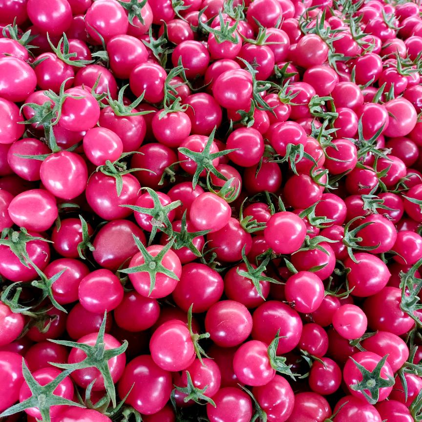 圣女果，甜瓜产地