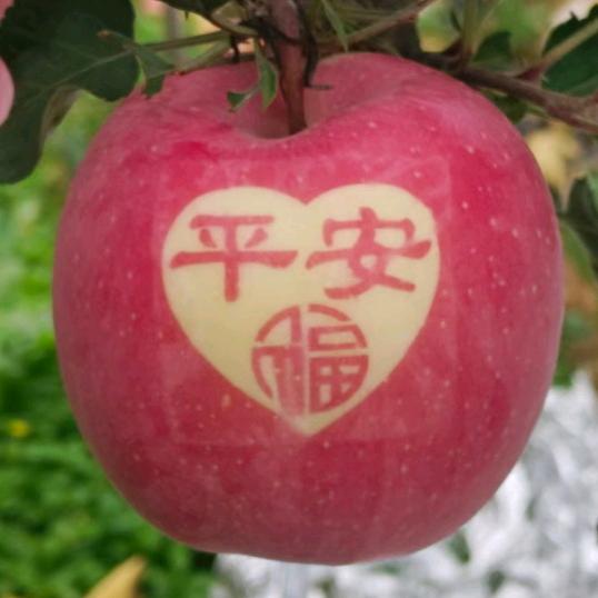 时令果