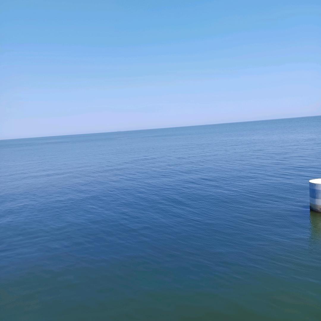 成哥