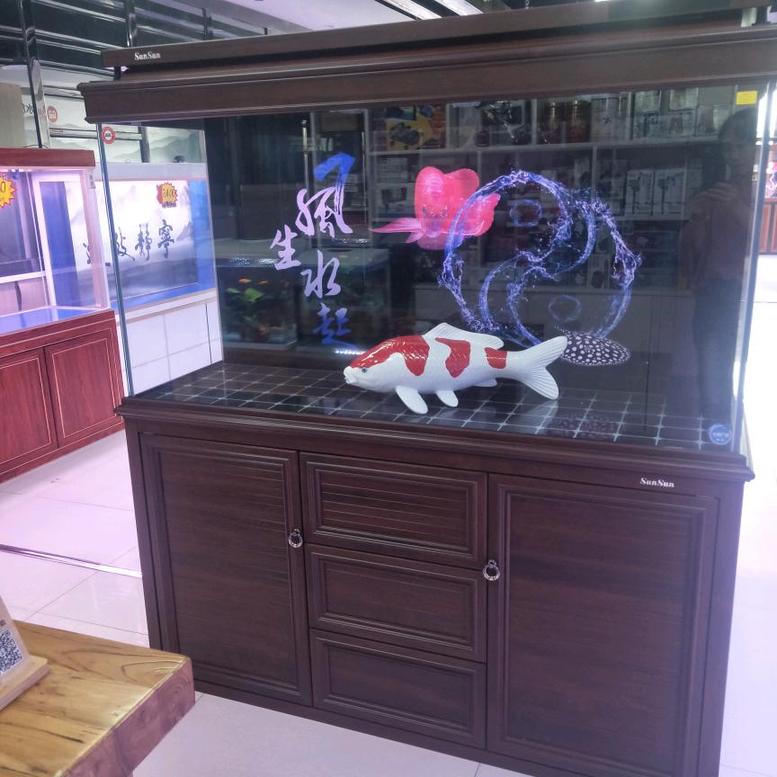 东阿森森水族
