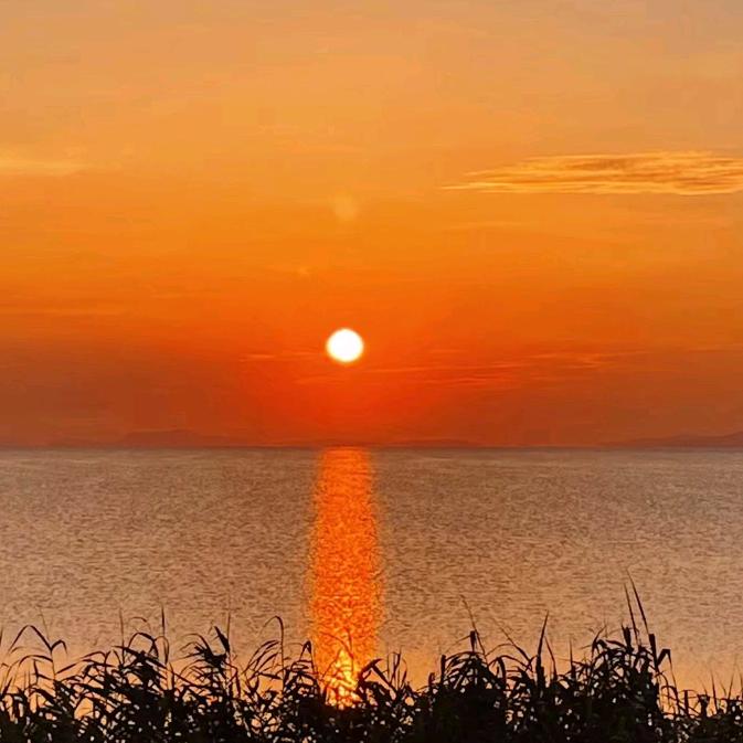 去有风的地方地方