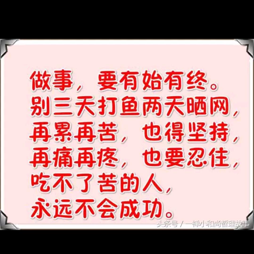 朝晖专业装潢