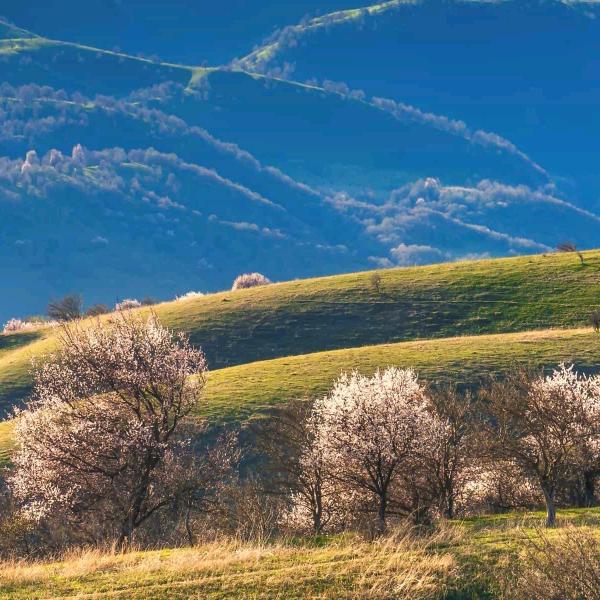 戒烟戒酒不戒你心