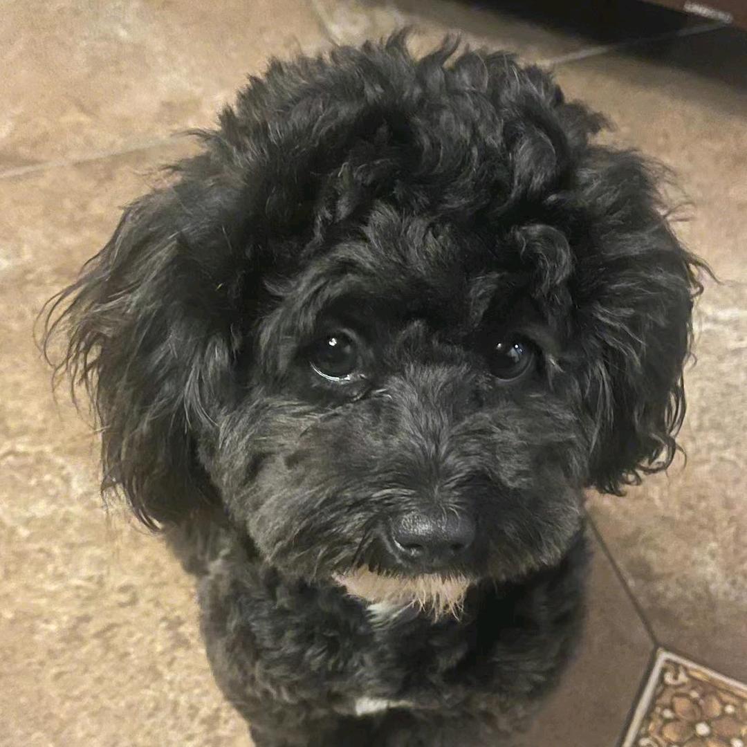 智障康复中心 （向主任）