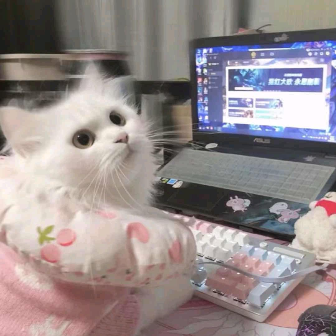 敏.