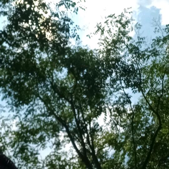 偶然相逢