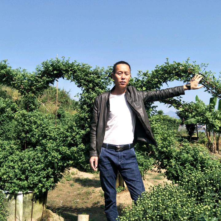 同登