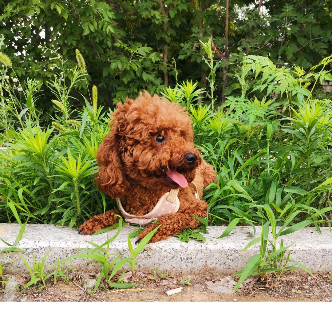 ོএ᭄向阳花🌻ꦿོ࿐