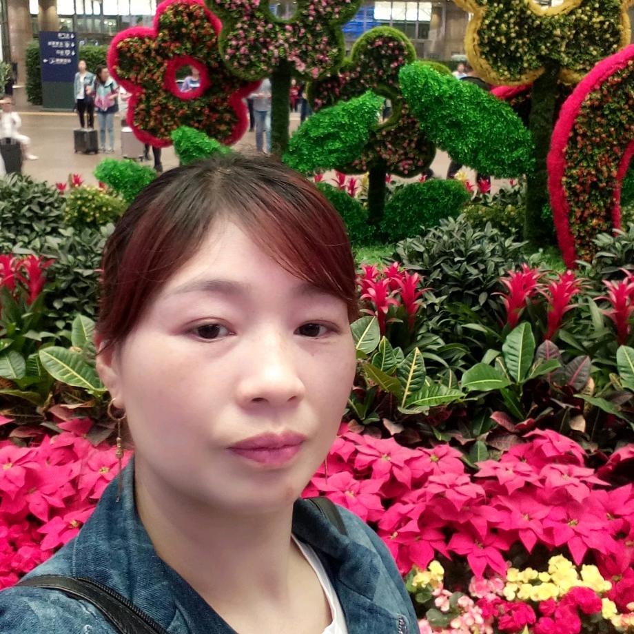 英资年华
