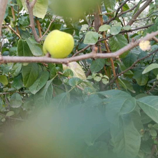 曾经的我