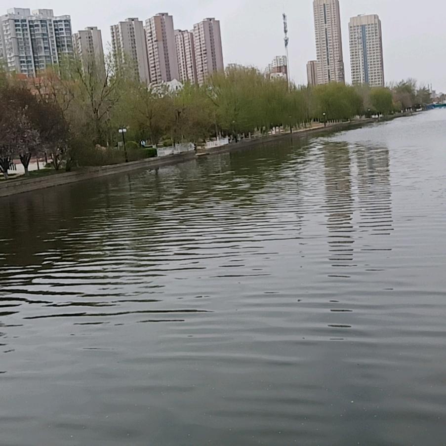孤独的月亮