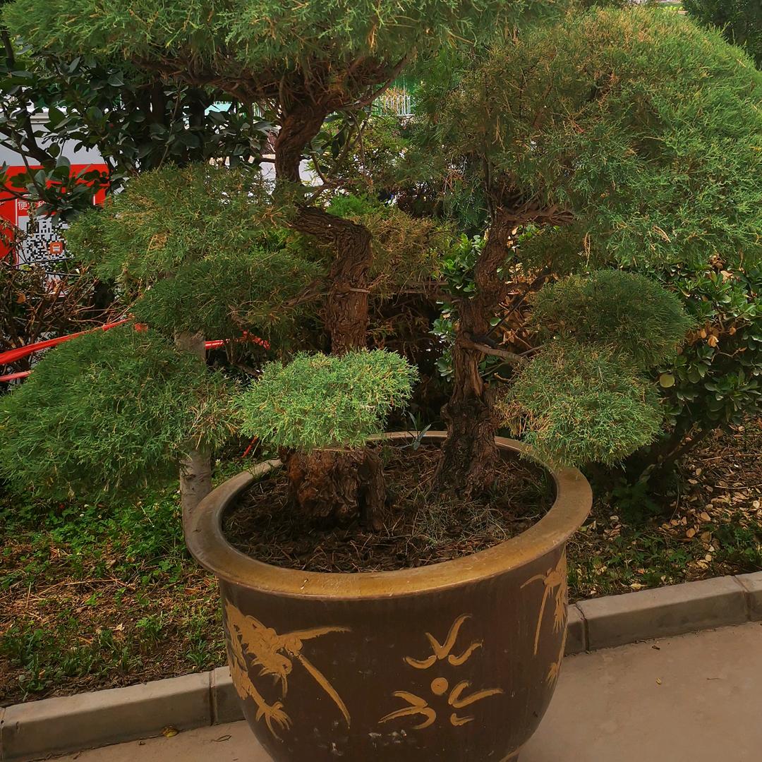 平平