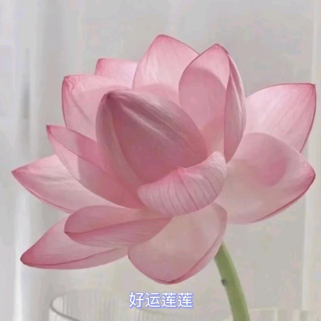 上善若水，处下不争！
