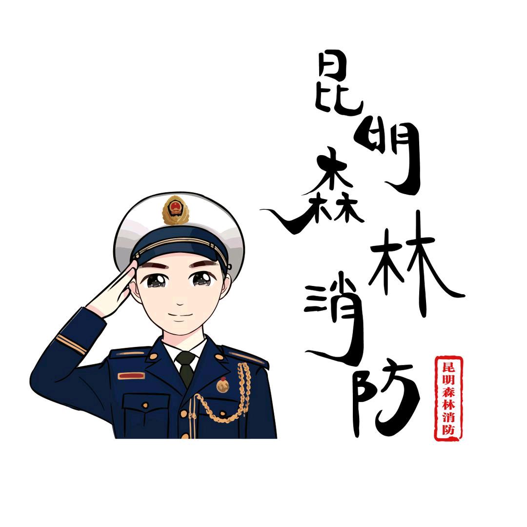 昆明市森林消防支队