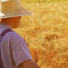 小海（三角洲跑刀）