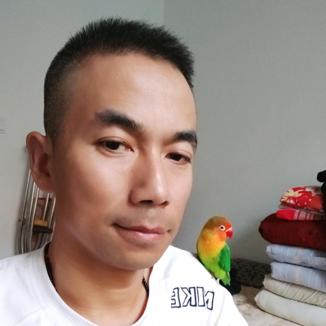 轮椅人♿随手拍