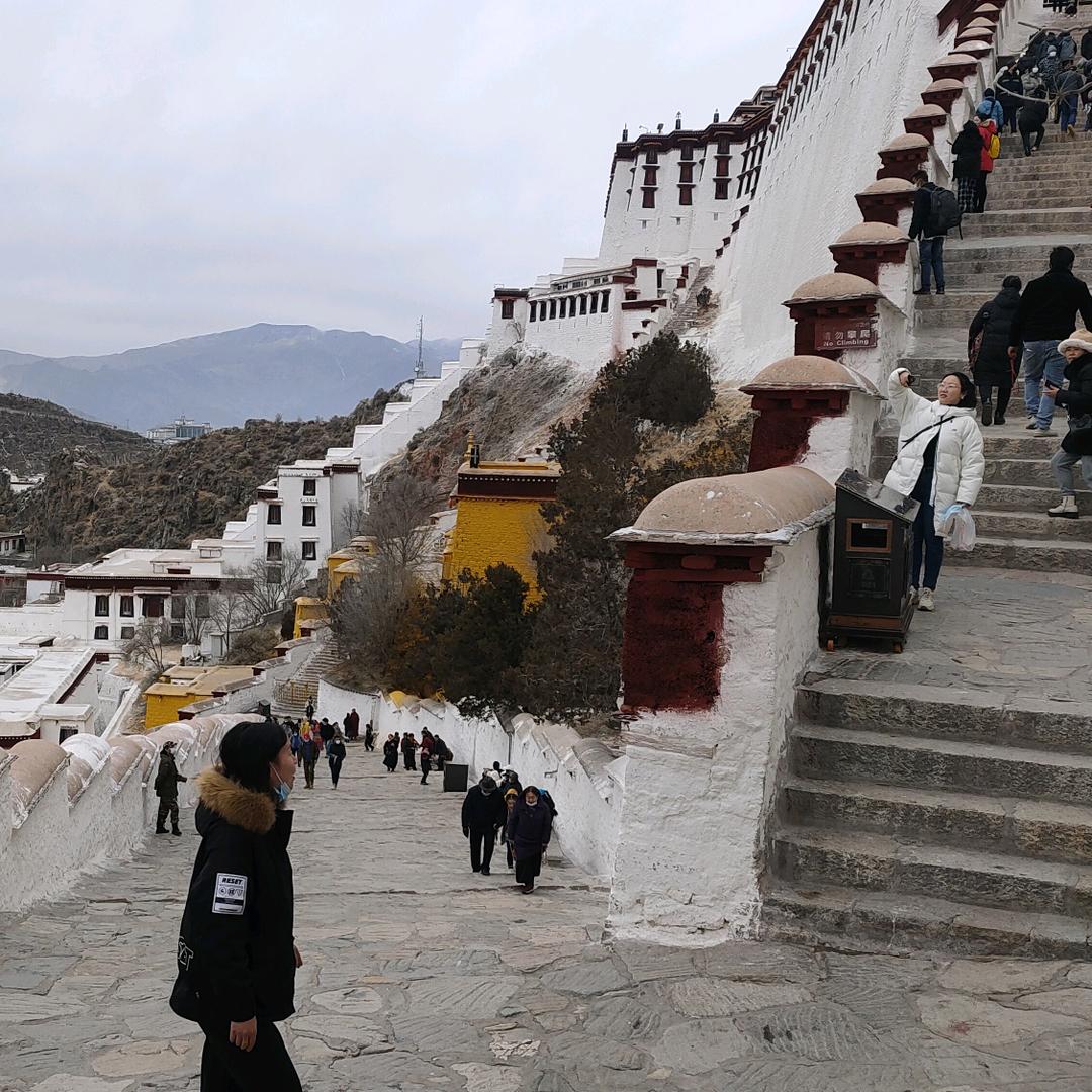 🇨🇳西藏街溜子