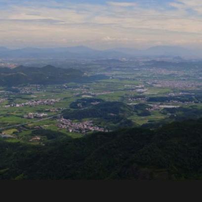 春风吹暖阳阳