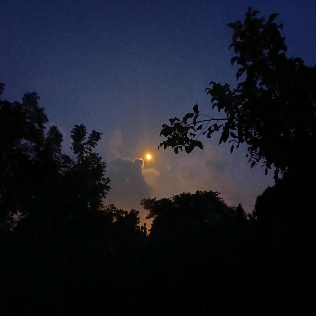 与星河邂逅