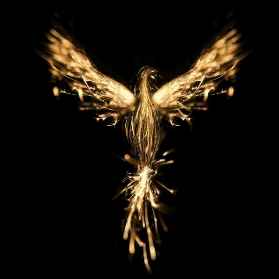 空山松子落寒泉