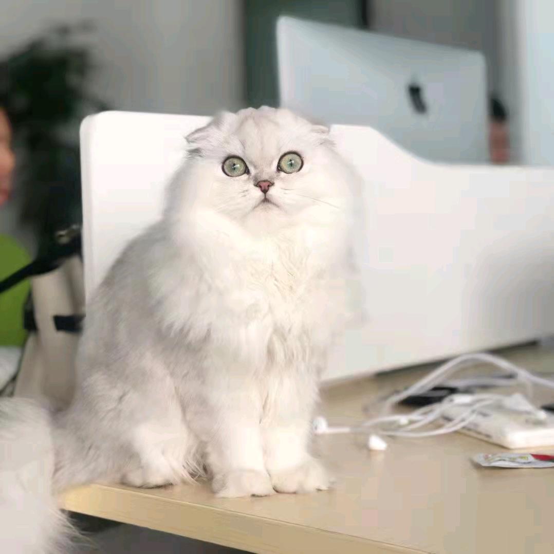 珍爱☆一生