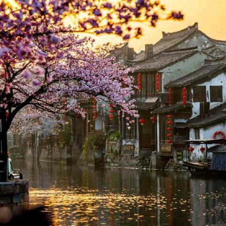 桃花笑春风