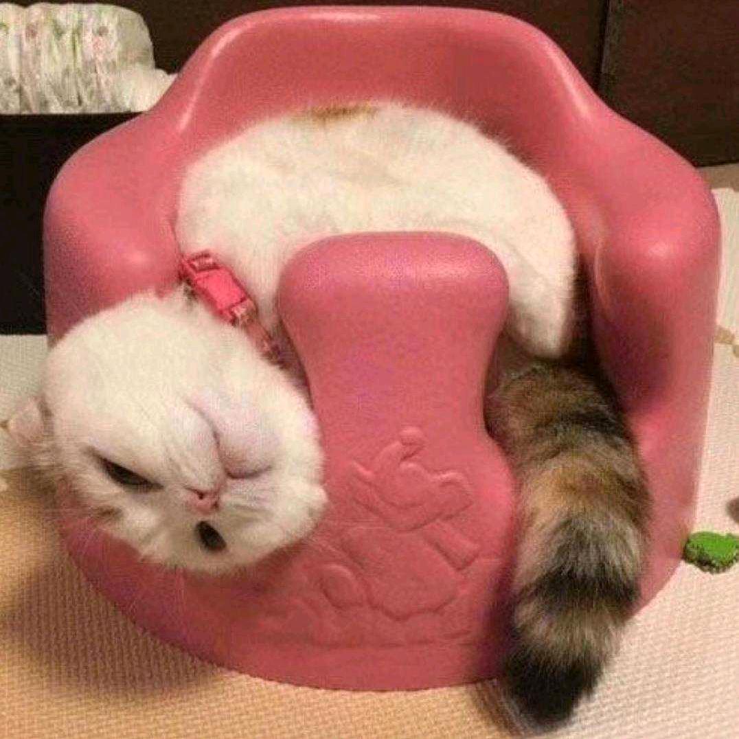 微风不燥